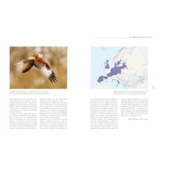 Les rapaces d'Europe - Tome 1: rapaces diurnes