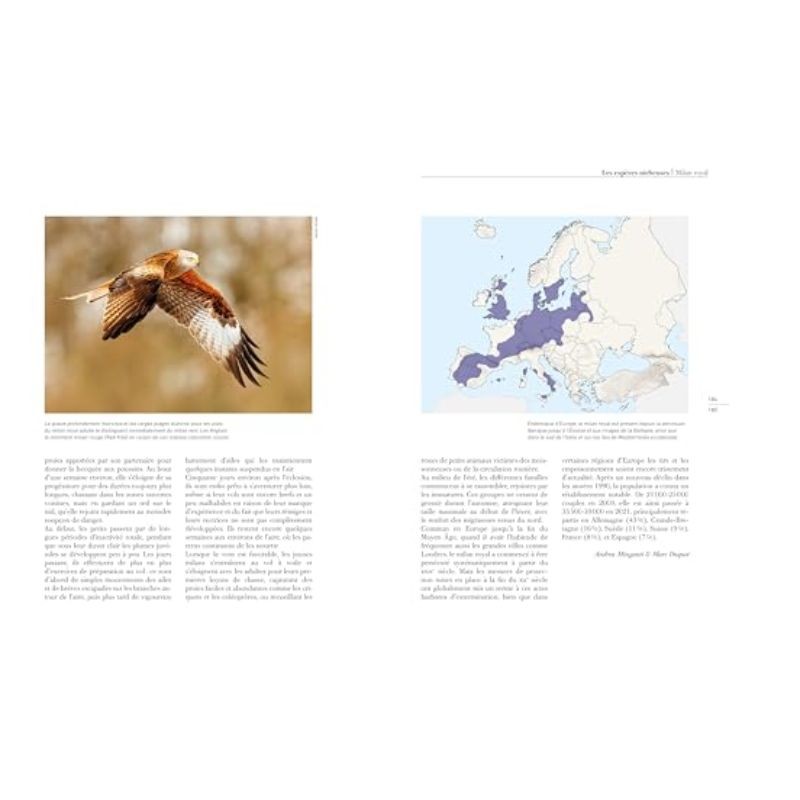 Les rapaces d'Europe - Tome 1: rapaces diurnes