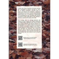 Introduction aux mines d'insectes - Biologie et critères de détermination
