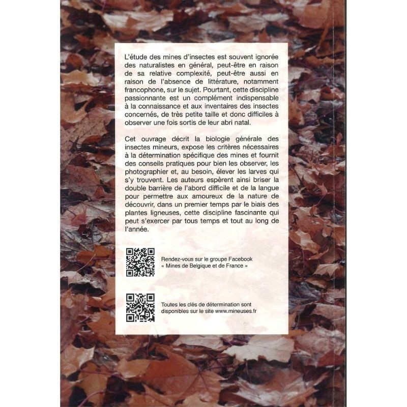 Introduction aux mines d'insectes - Biologie et critères de détermination