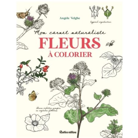 Mon carnet naturaliste - Fleurs à colorier