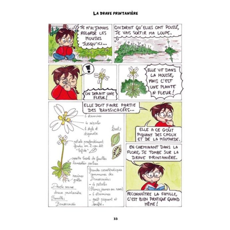 A l'ombre du pissenlit - Chroniques botaniques en pleine herbe