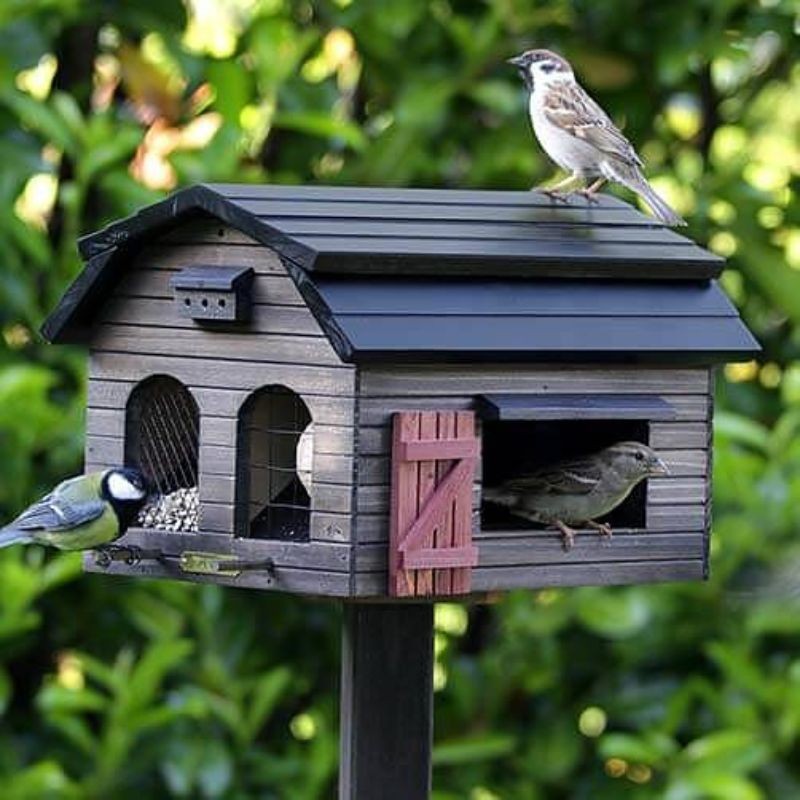Mangeoire pour oiseaux sur piquet avec toit en métal, Tout pour l'animal