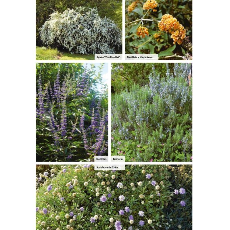 Jardins secs, s’adapter au manque d’eau - Nouvelle édition revue et enrichie
