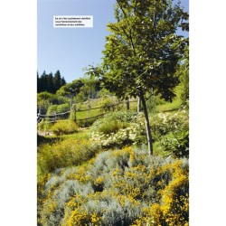Jardins secs, s’adapter au manque d’eau - Nouvelle édition revue et enrichie
