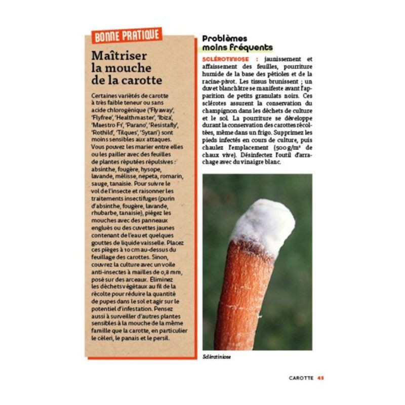 Panique au potager