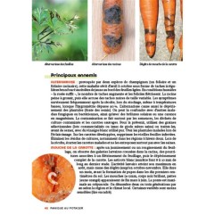 Panique au potager