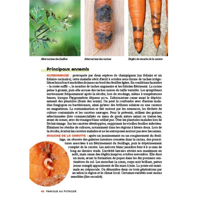 Panique au potager