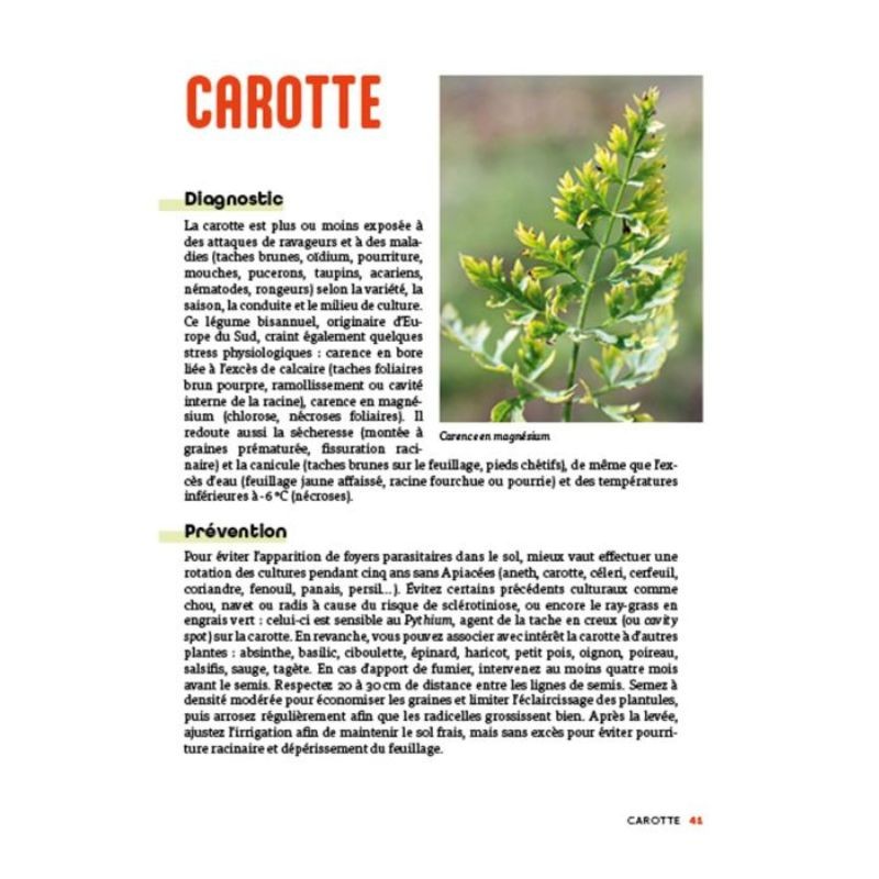 Panique au potager