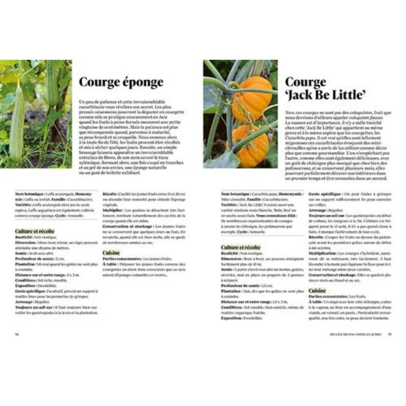 Des légumes pas comme les autres - 100 espèces et variétés savoureuses pour diversifier vos cultures