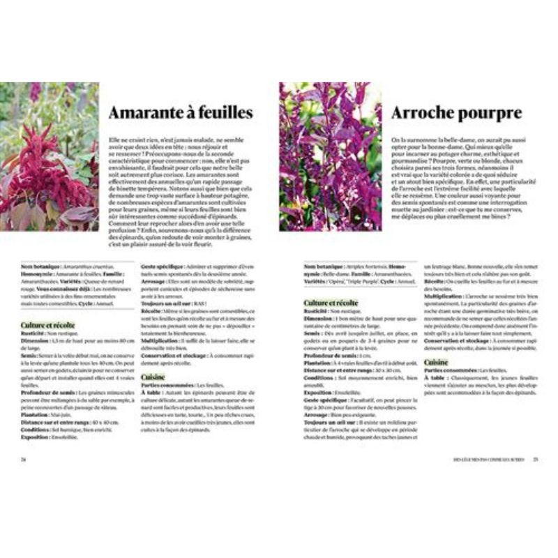 Des légumes pas comme les autres - 100 espèces et variétés savoureuses pour diversifier vos cultures