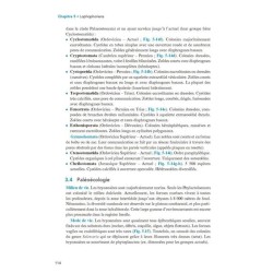 Paléontologie et évolution des invertébrés