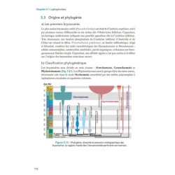 Paléontologie et évolution des invertébrés