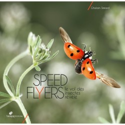 Speed flyers le vol des insectes révélé