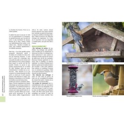 Accueillir les oiseaux au jardin