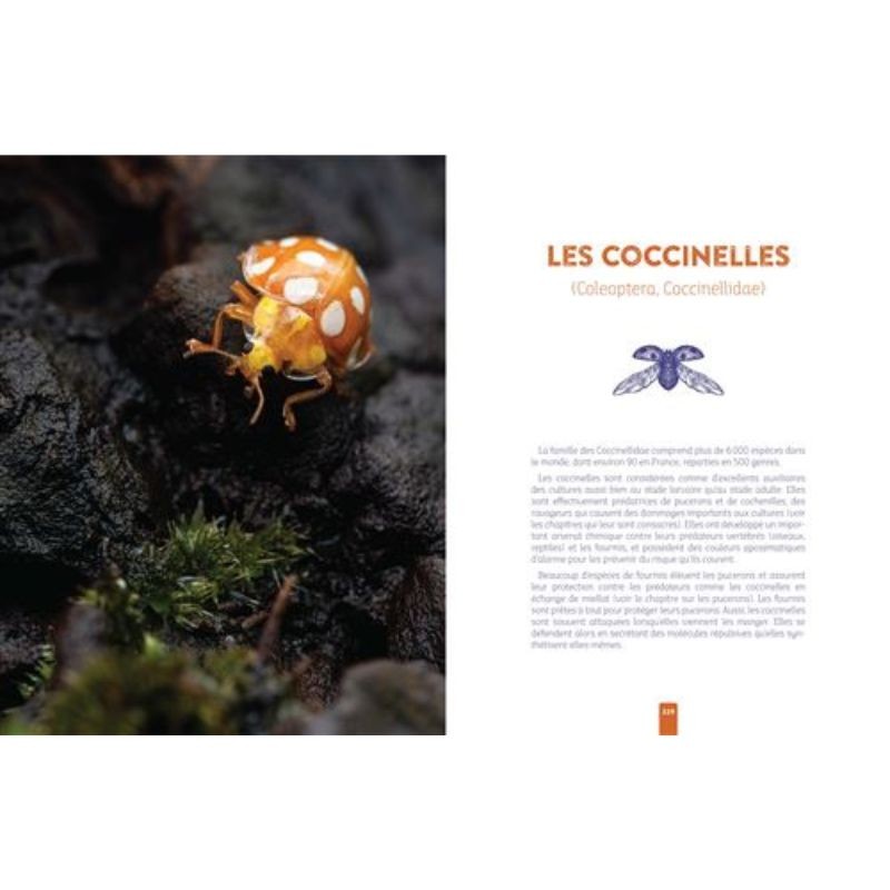L'insecte médicinal