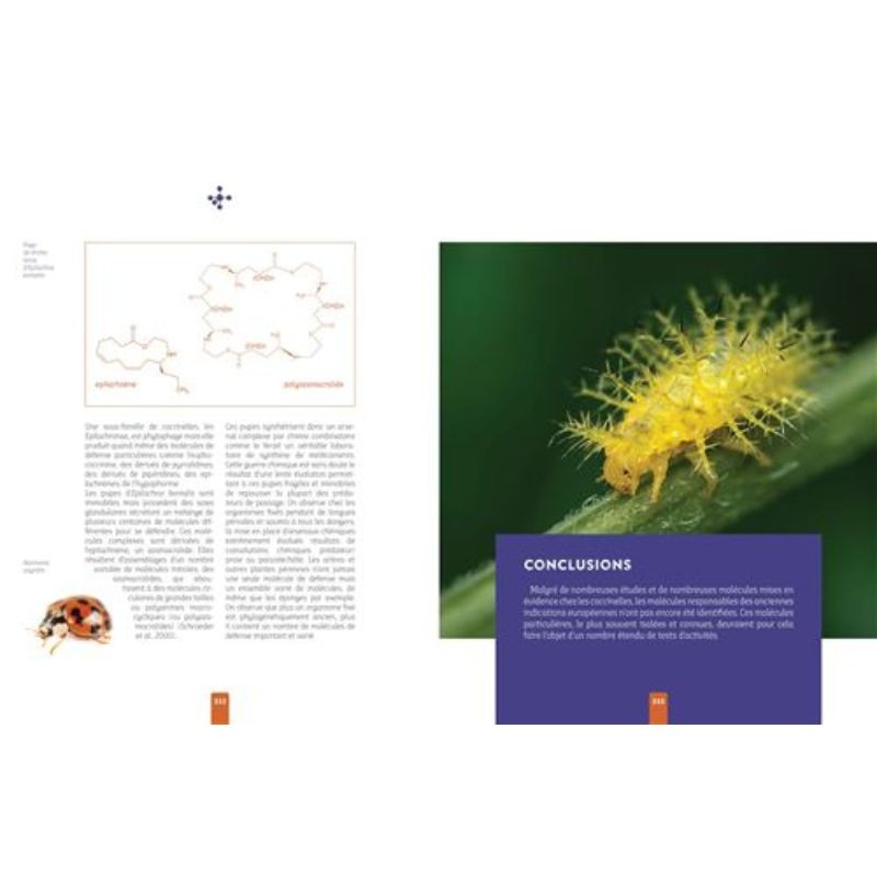 L'insecte médicinal