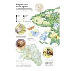 Les sociétés secrètes du monde animal