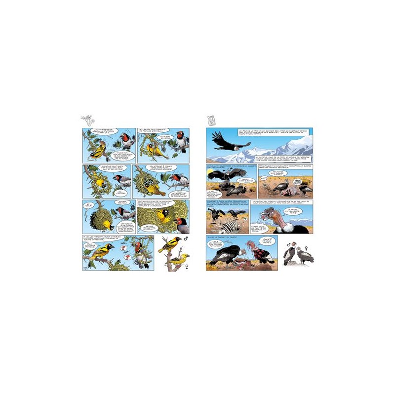 Les oiseaux en bande dessinée - Tome 2 Les oiseaux en bande dessinée - Tome 2
