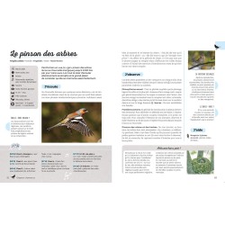Qui chante dans mon jardin ? Qui chante dans mon jardin ?
