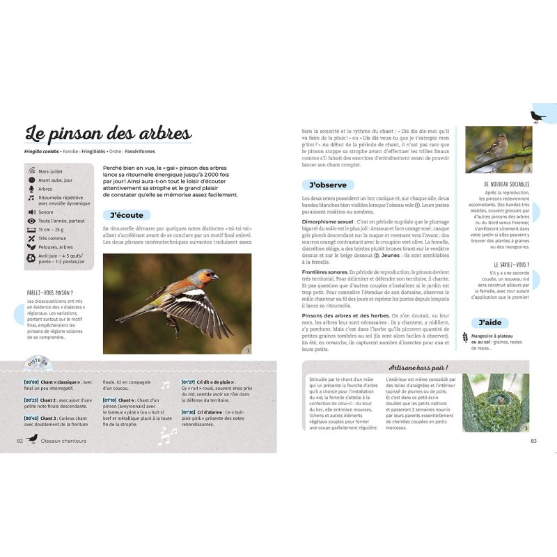 Qui chante dans mon jardin ?