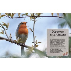 Qui chante dans mon jardin ? Qui chante dans mon jardin ?