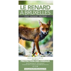 Flyer Le renard à Bruxelles - Dépliant