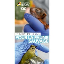Flyer Vous avez trouvé un animal sauvage blessé... que faire ? - Dépliant