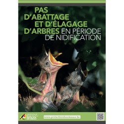 Affiche - Pas d'abattage et d'élagage d'arbres en période de nidification