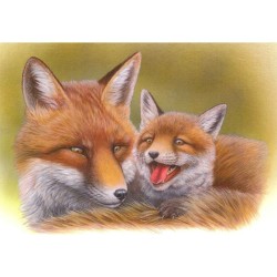 Renard - Série Jeunes mammifères sauvages - Carte d'André Buzin