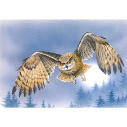 Hibou grand-duc - Série oiseaux en mouvement - Carte d'André Buzin