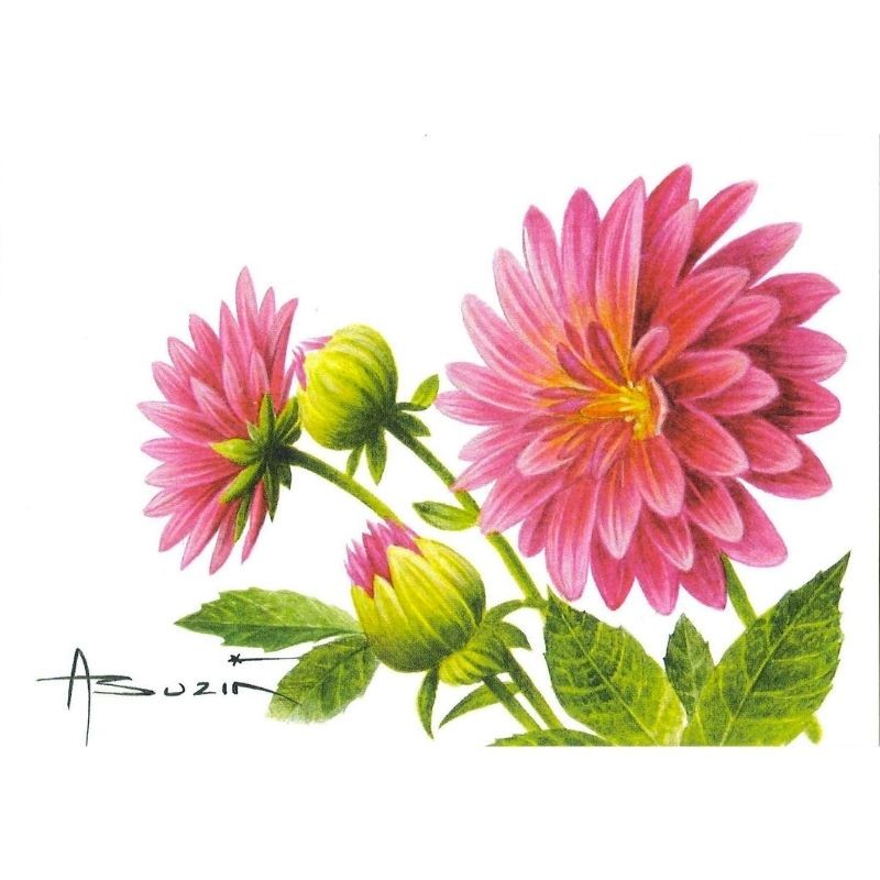 Fleur Dahlia - Carte d'André Buzin