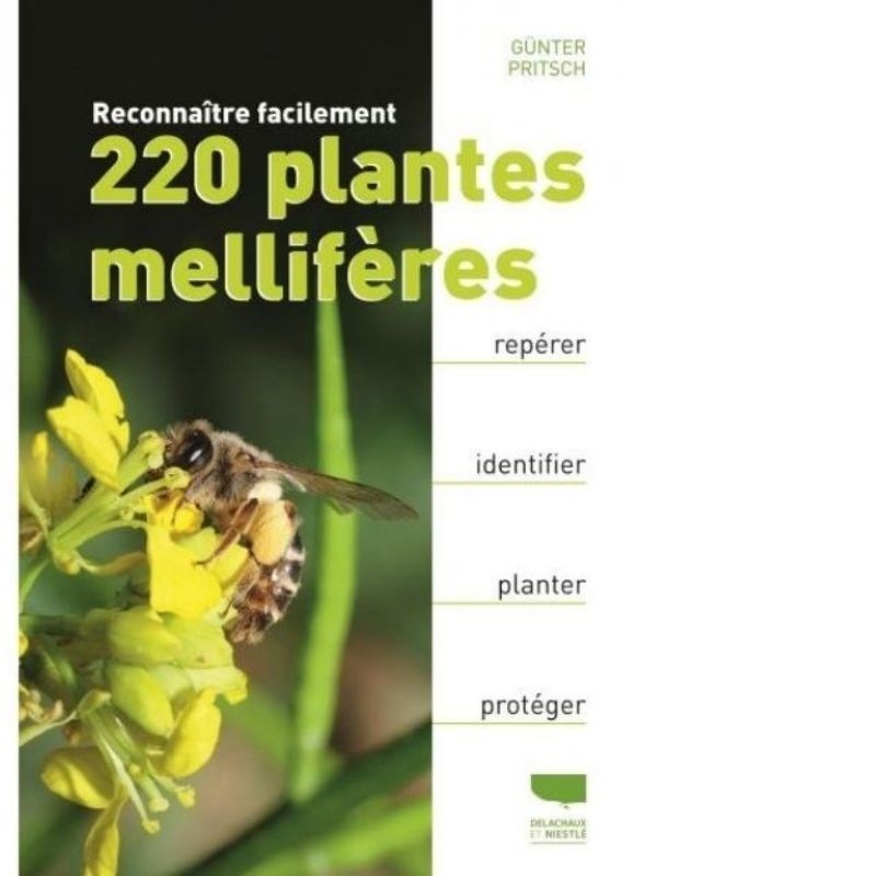 Reconnaître facilement 220 plantes mellifères - Repérer, identifier, planter, protéger