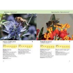 Reconnaître facilement 220 plantes mellifères - Repérer, identifier, planter, protéger Reconnaître facilement 220 plantes mellifères - Repérer, identifier, planter, protéger