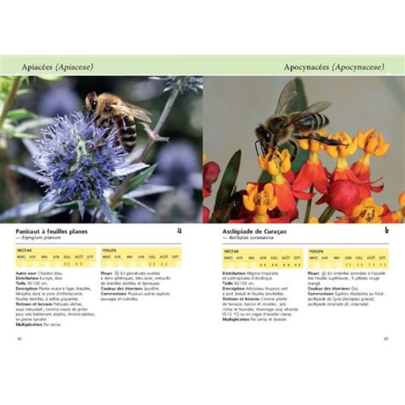 Reconnaître facilement 220 plantes mellifères - Repérer, identifier, planter, protéger