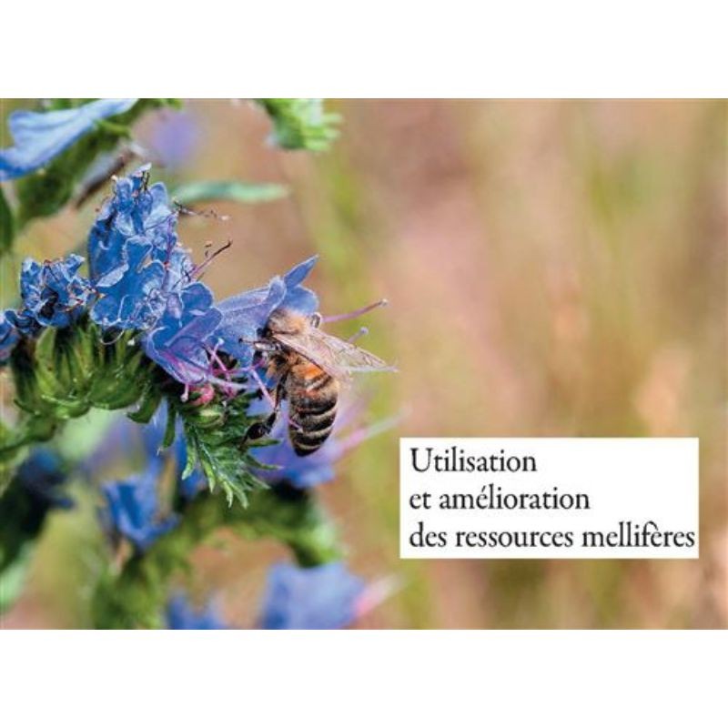Reconnaître facilement 220 plantes mellifères - Repérer, identifier, planter, protéger