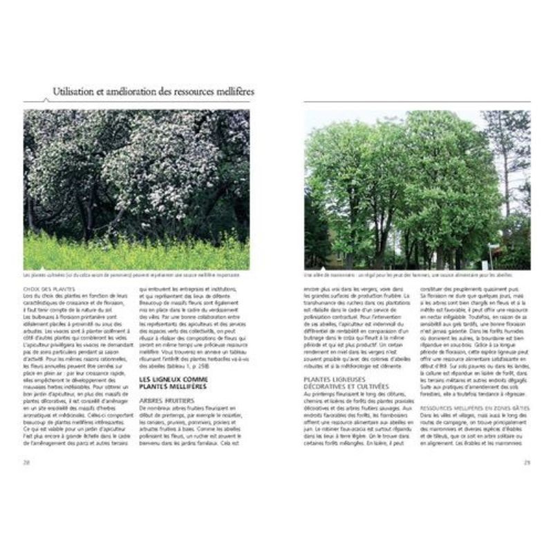 Reconnaître facilement 220 plantes mellifères - Repérer, identifier, planter, protéger