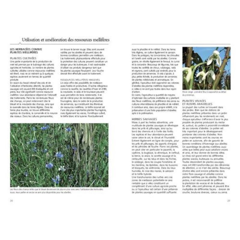 Reconnaître facilement 220 plantes mellifères - Repérer, identifier, planter, protéger