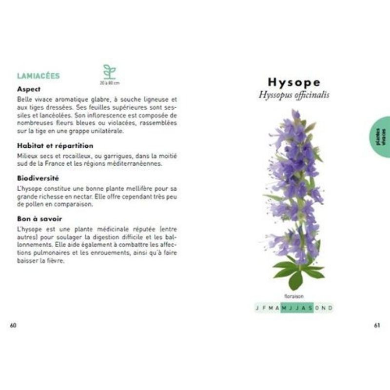 Le petit guide des plantes à abeilles - 70 espèces mellifères à découvrir