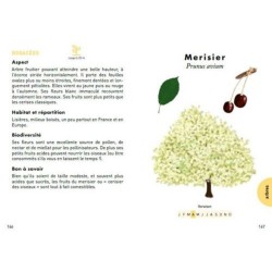 Le petit Guide des plantes à abeilles - 70 espèces mellifères à découvrir Le petit Guide des plantes à abeilles - 70 espèces mellifères à découvrir