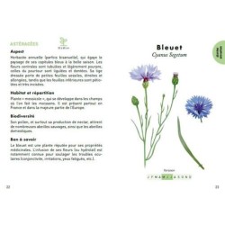 Le petit Guide des plantes à abeilles - 70 espèces mellifères à découvrir Le petit Guide des plantes à abeilles - 70 espèces mellifères à découvrir