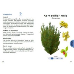 Le petit Guide des plantes à abeilles - 70 espèces mellifères à découvrir Le petit Guide des plantes à abeilles - 70 espèces mellifères à découvrir