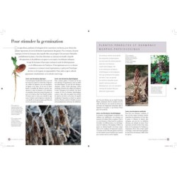 Comprendre les plantes et les arbres - Formes, diversité, stratégies de survie Comprendre les plantes et les arbres - Formes, diversité, stratégies de survie