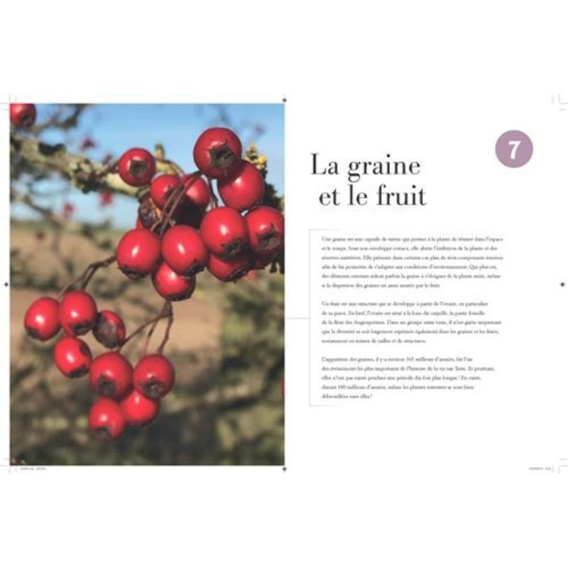 Comprendre les plantes et les arbres - Formes, diversité, stratégies de survie