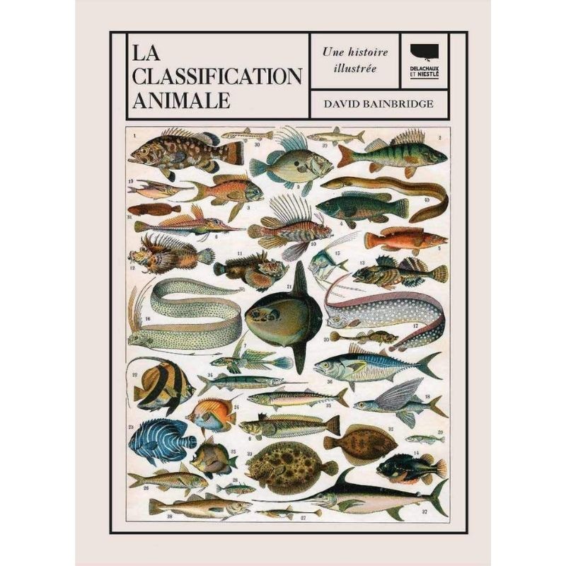 La classification animale - Une histoire illustrée