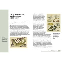 La classification animale - Une histoire illustrée