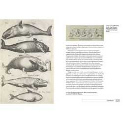 La classification animale - Une histoire illustrée