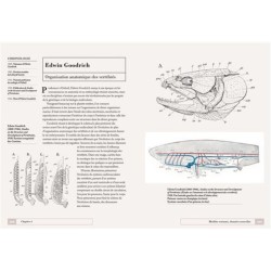 La classification animale - Une histoire illustrée