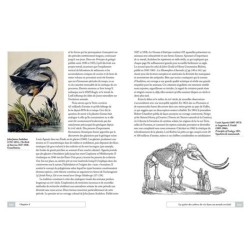La classification animale - Une histoire illustrée