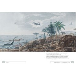 La classification animale - Une histoire illustrée